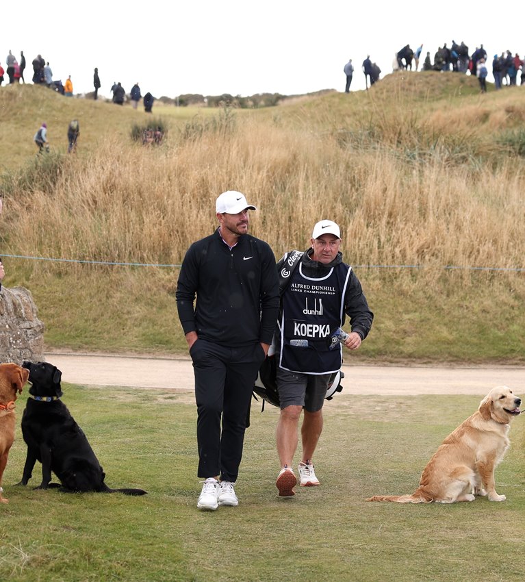Brooks Koepka and Bubba Watson head US challenge at St Andrews